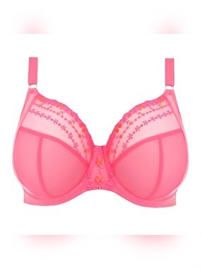 ELOMI Matilda Plunge Bra 36DD J-Hook Wild Cherry